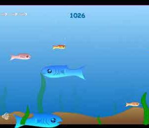 물고기 키우기 게임하기  !fishy!